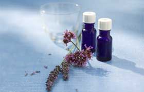 Aromathérapie et huiles essentielles