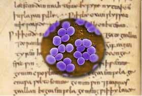 Des bactéries résistantes aux antibiotiques ne peuvent résister à une potion concoctée à partir d'une recette vieille de mille ans!