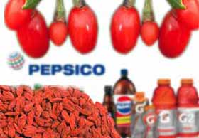 PepsiCo dépose une recette  de boisson énergisante à base de plantes médicinales chinoises et sans caféine