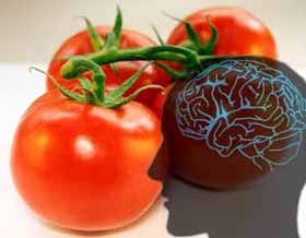 Consommer régulièrement des aliments riches en lycopène réduirait le risque d'attaque cérébrale