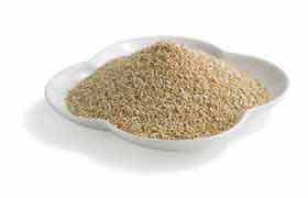 Le quinoa, vénéré comme grain sacré par les Incas, il est la graine la plus nutritive que vous puissiez consommer.